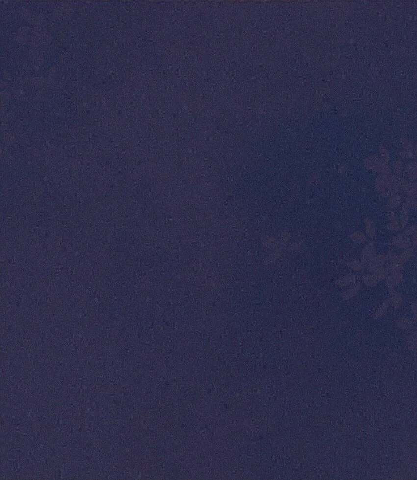 19 虚弱5