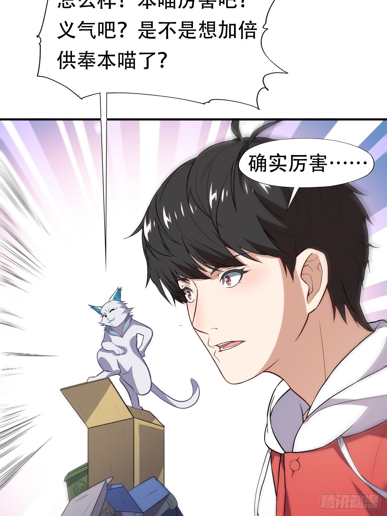 049小萌女王4