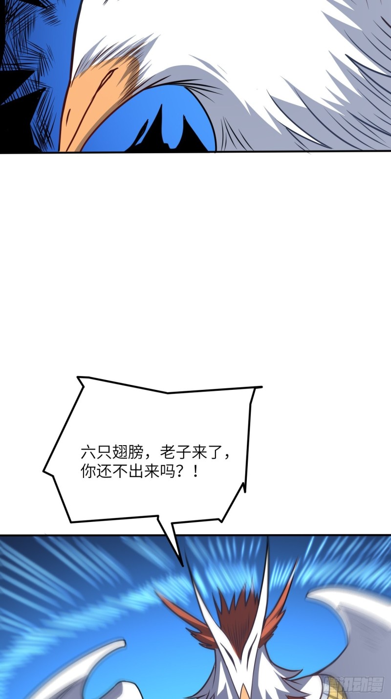 118至强者，集结！44