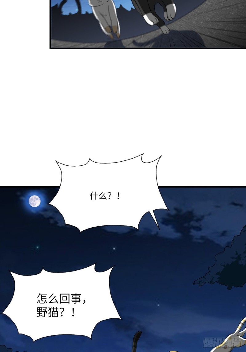 068死神方糖糖5