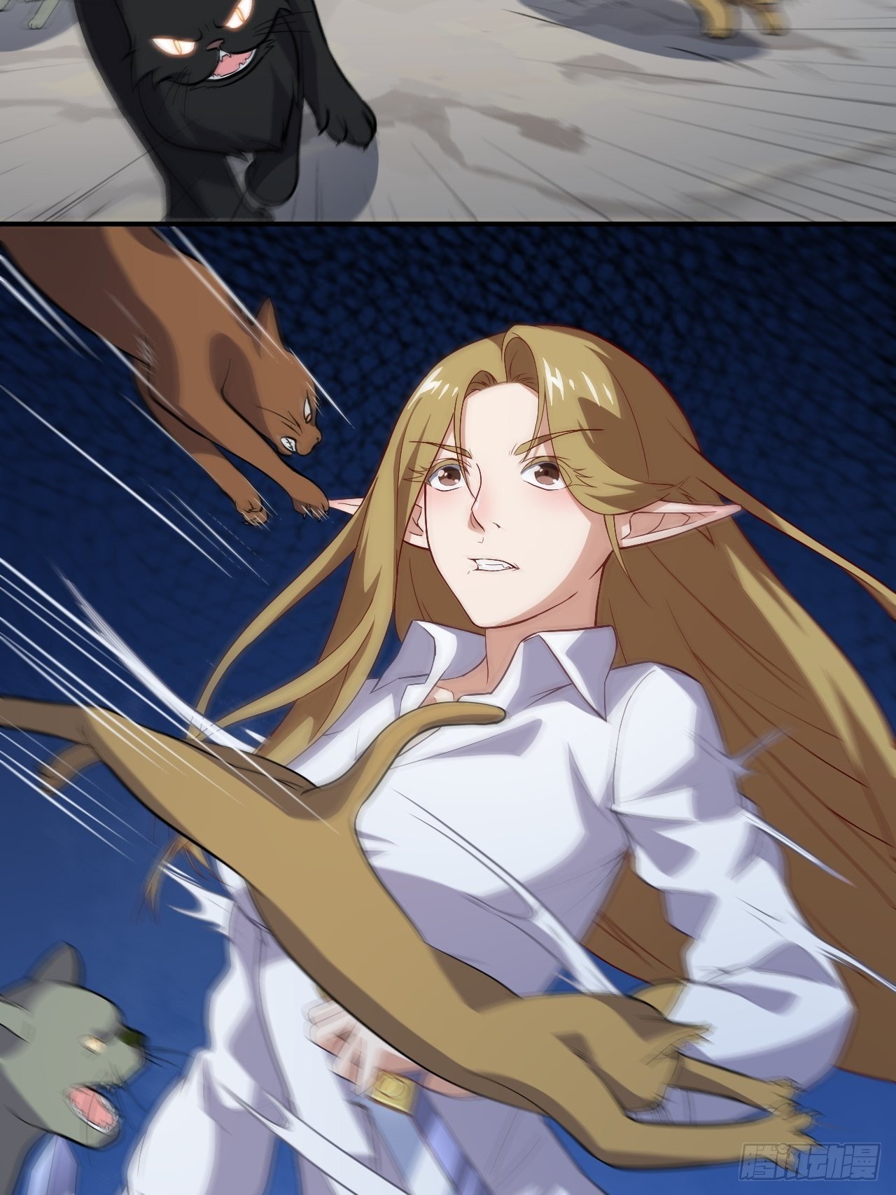 049小萌女王2
