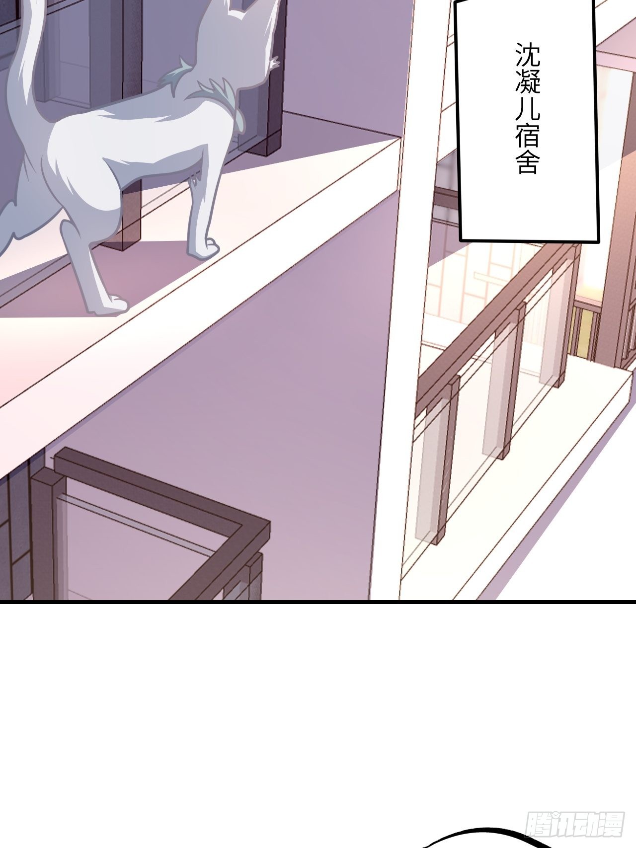 199 哔了猫了42