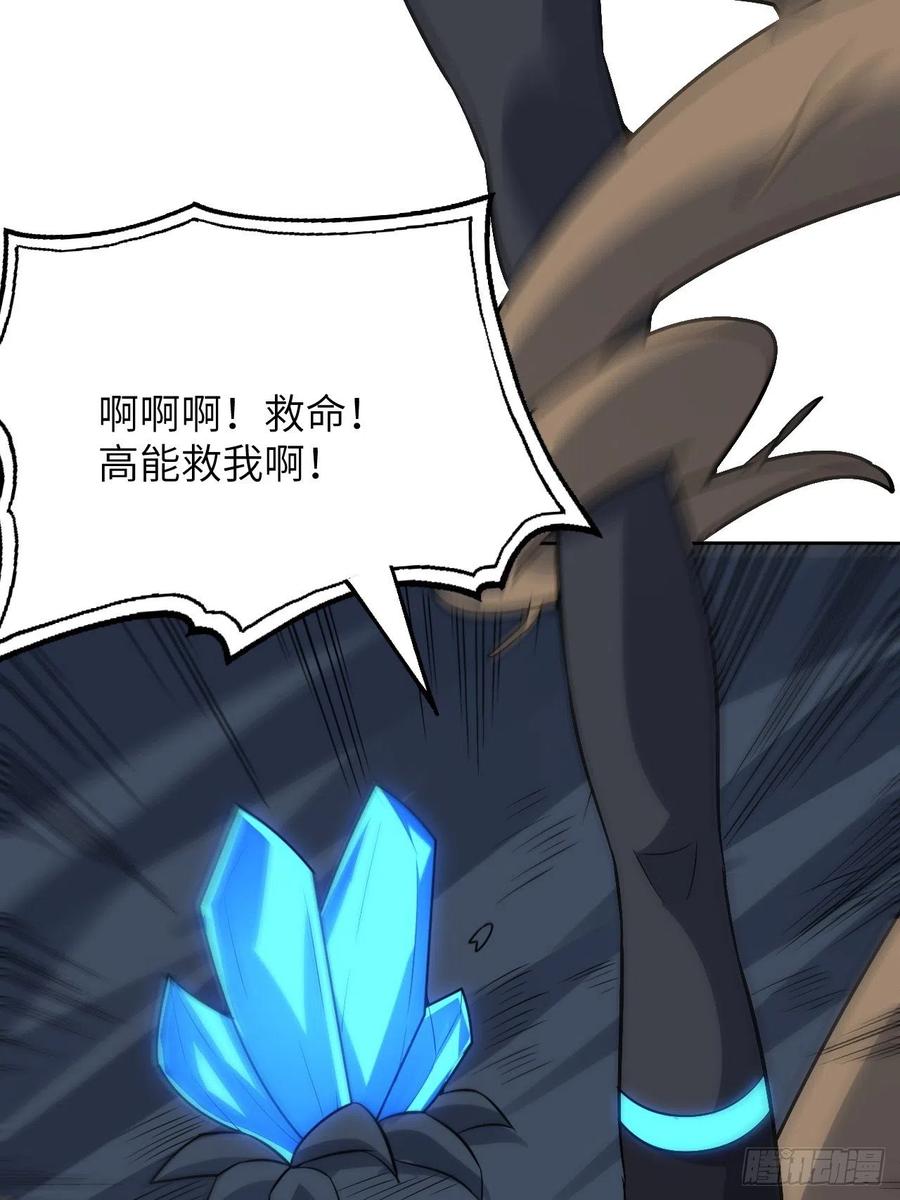 111精灵古树65