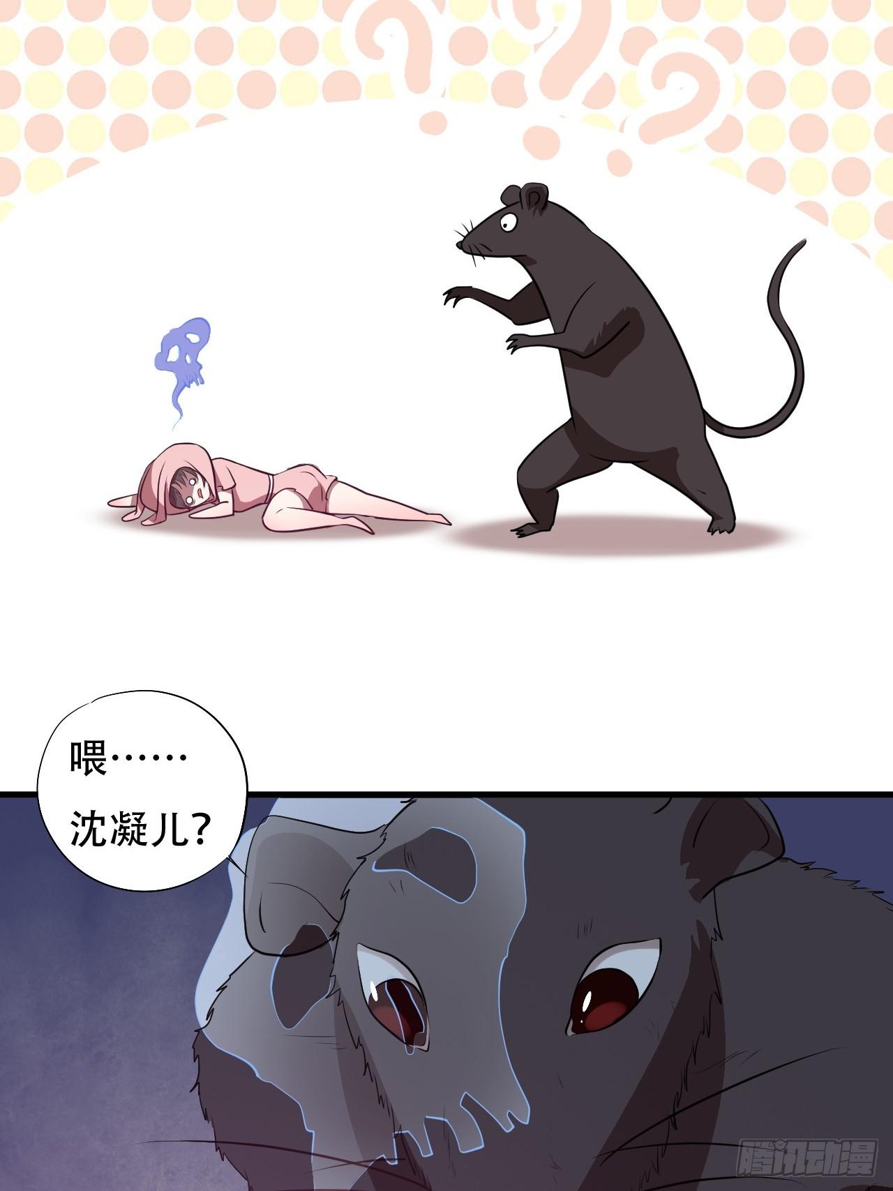 006吱吱吱吱吱……41