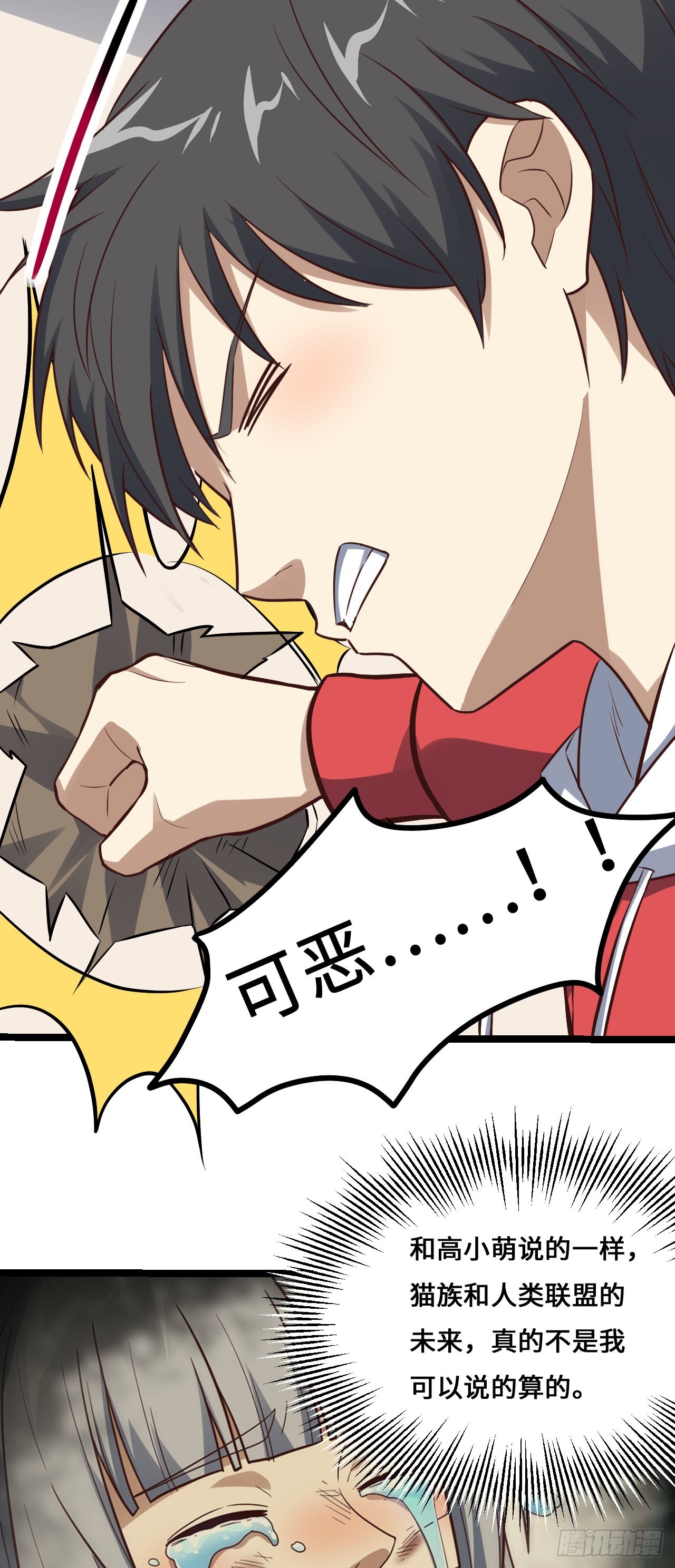 230 最终决议29
