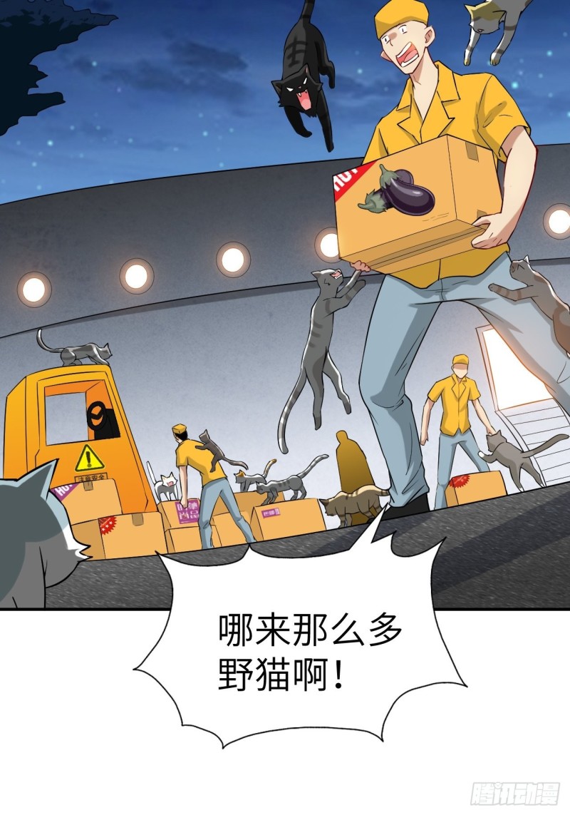 068死神方糖糖6