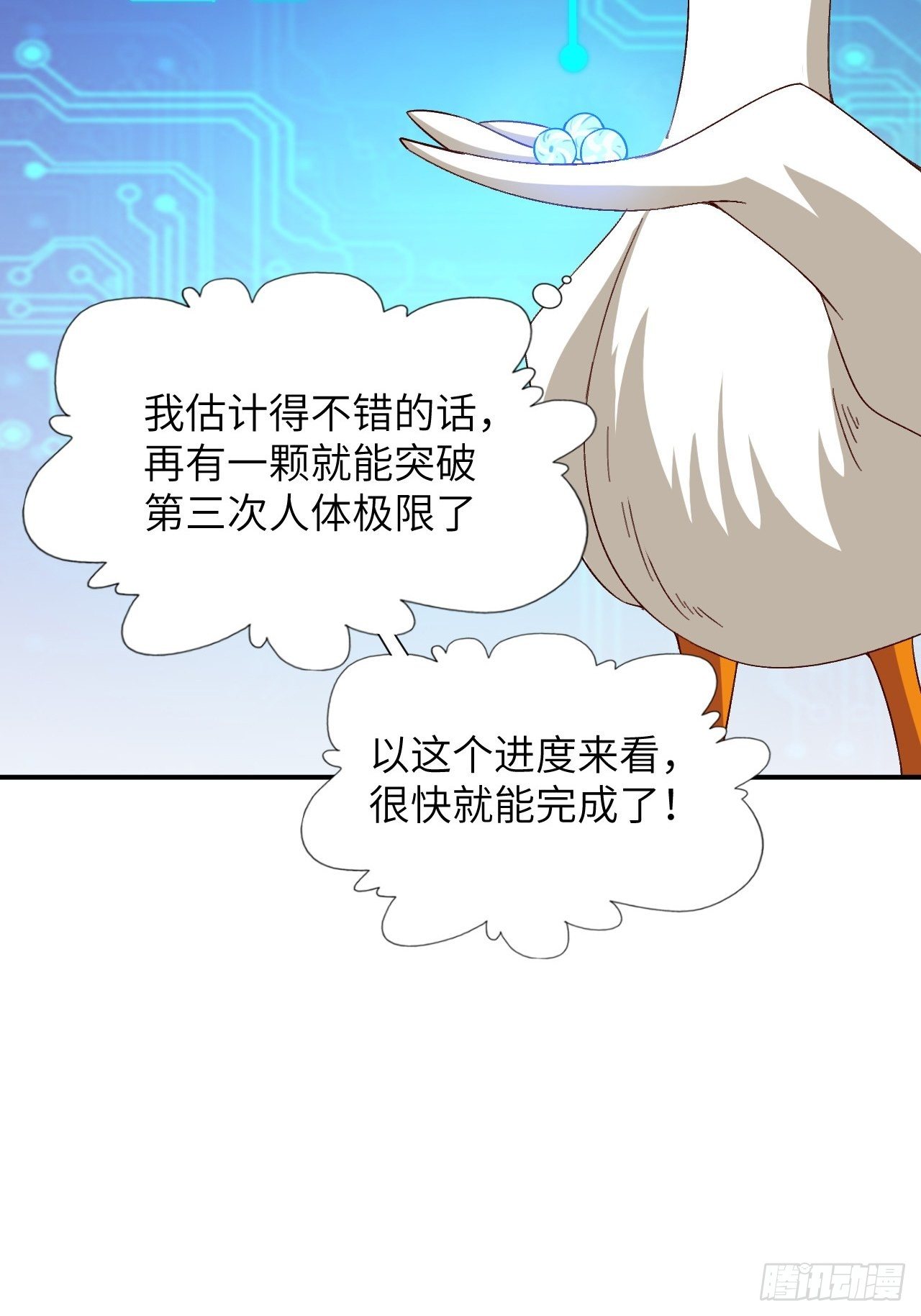 053卤味鸭掌 了解一下46