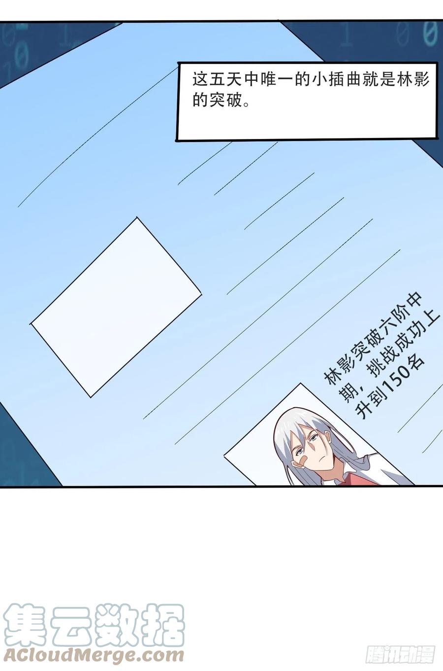 156千层套路45