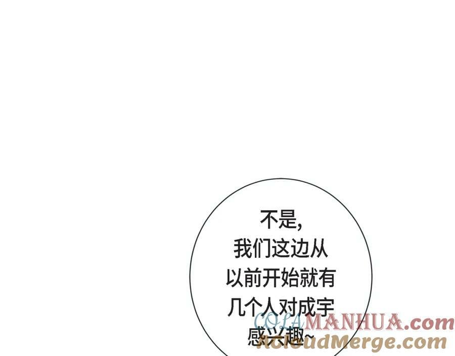第二季·11·独特的抱枕44