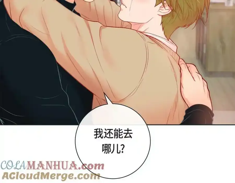 第二季·16·别离开我108