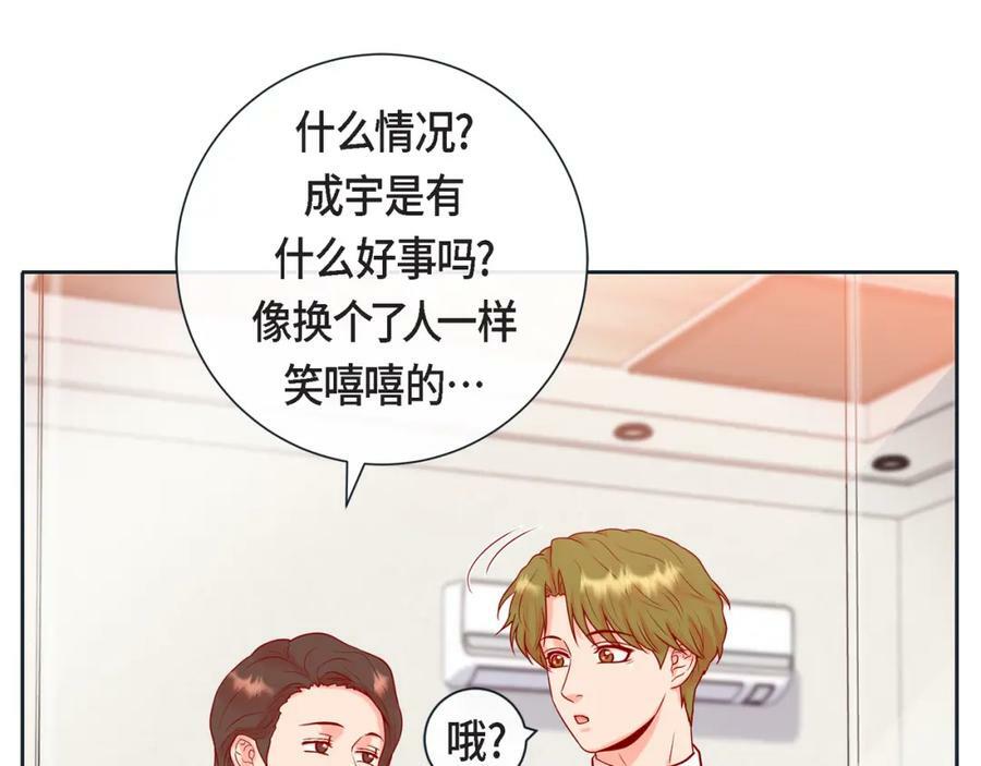 第二季·11·独特的抱枕42