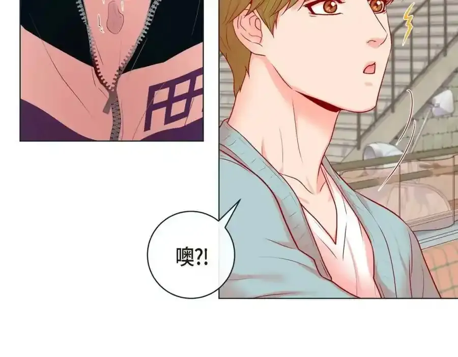 第二季·3·他的手17