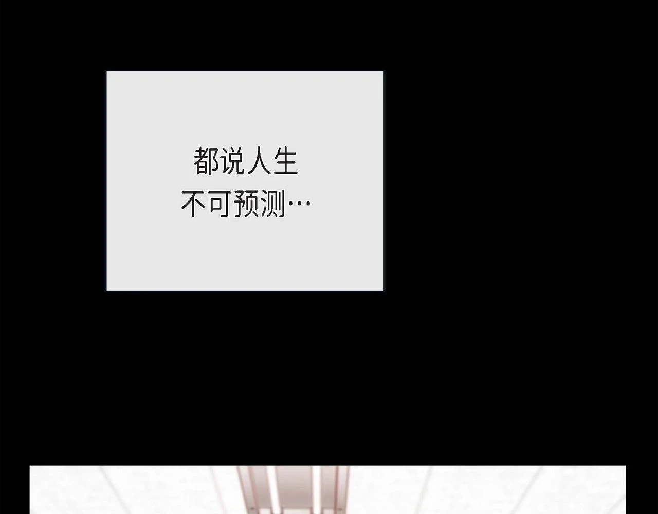第二季·启·甜甜的酒味135