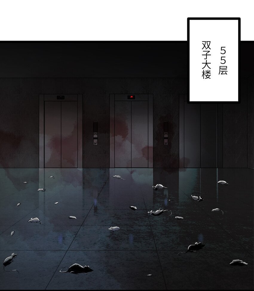 第五话 这鹦鹉真吓人2
