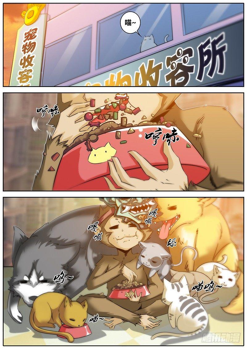27.泰龙12