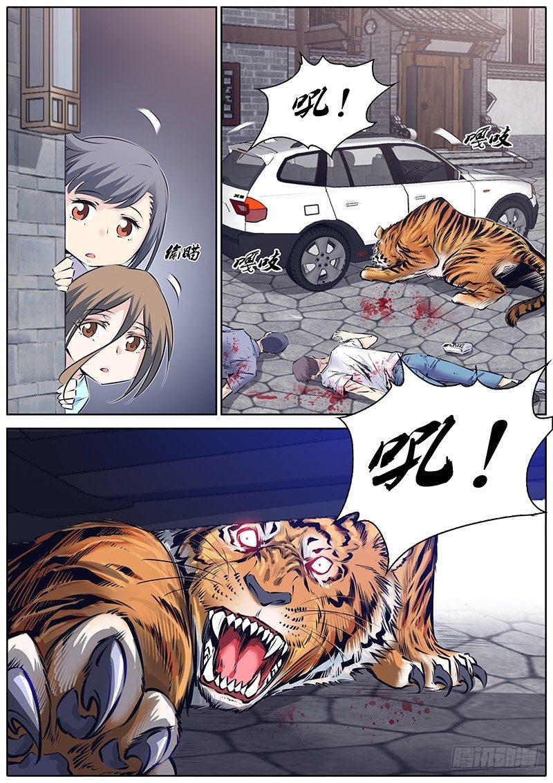 224.大猫5