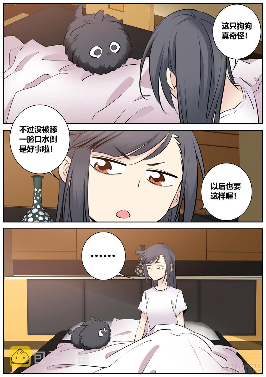 353.蠢狗狗3
