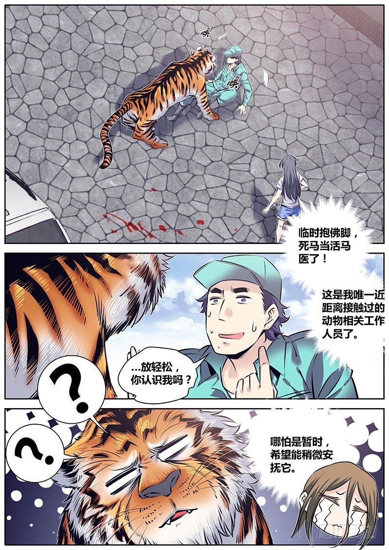 225.大喵7