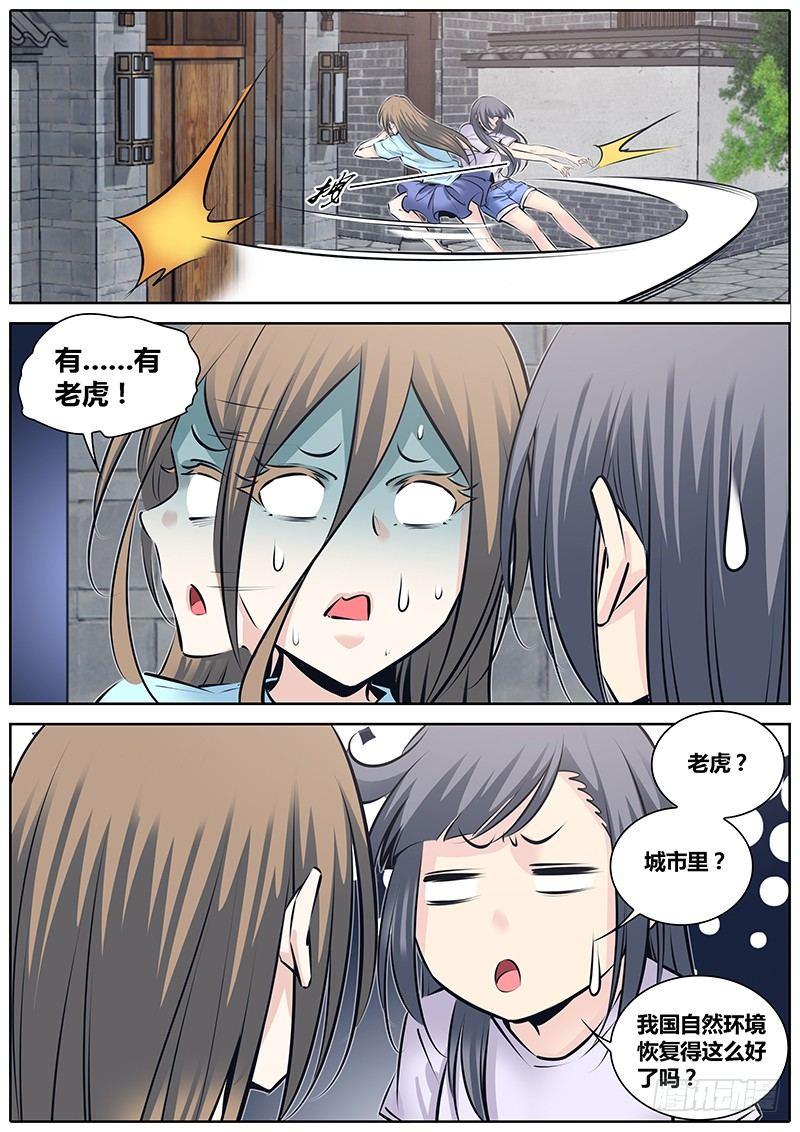 224.大猫4