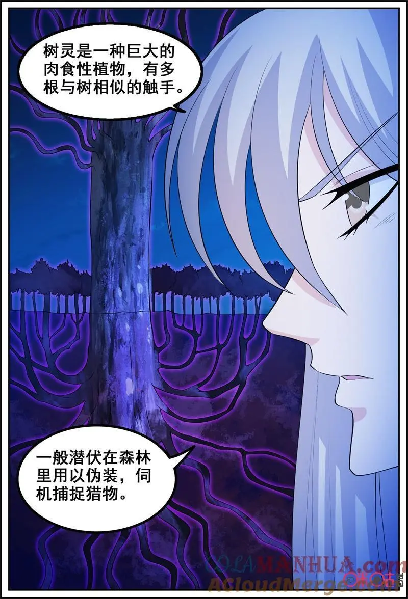 第199话：击杀树灵2