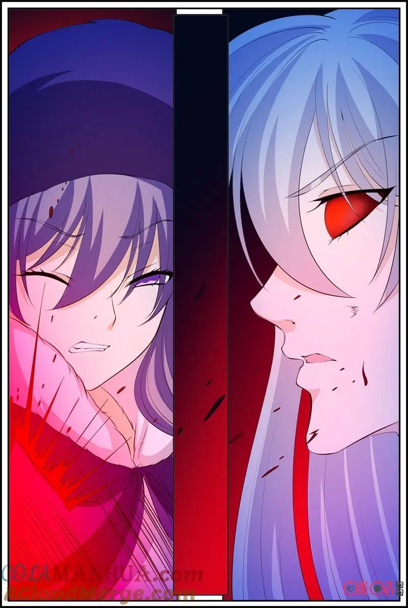 第204话：互相残杀12