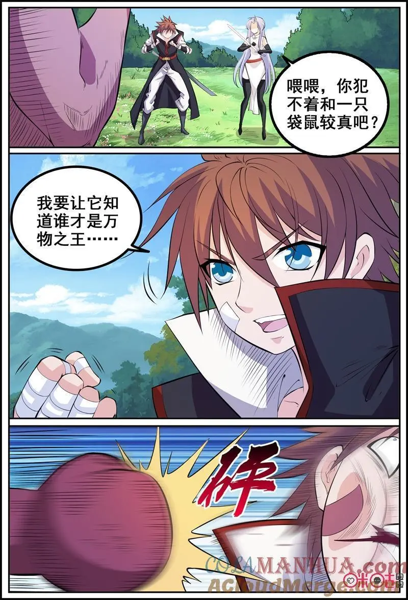第192话：拳击袋鼠8