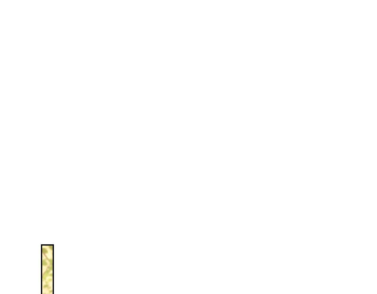 第47话 危险人物87
