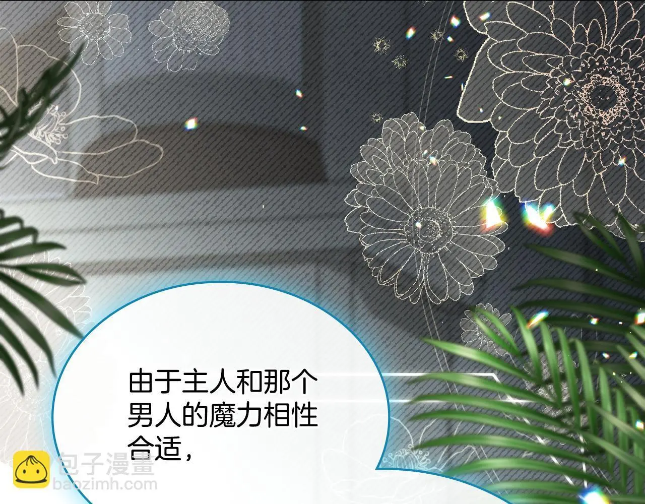 第二季完结篇 她会回来的35