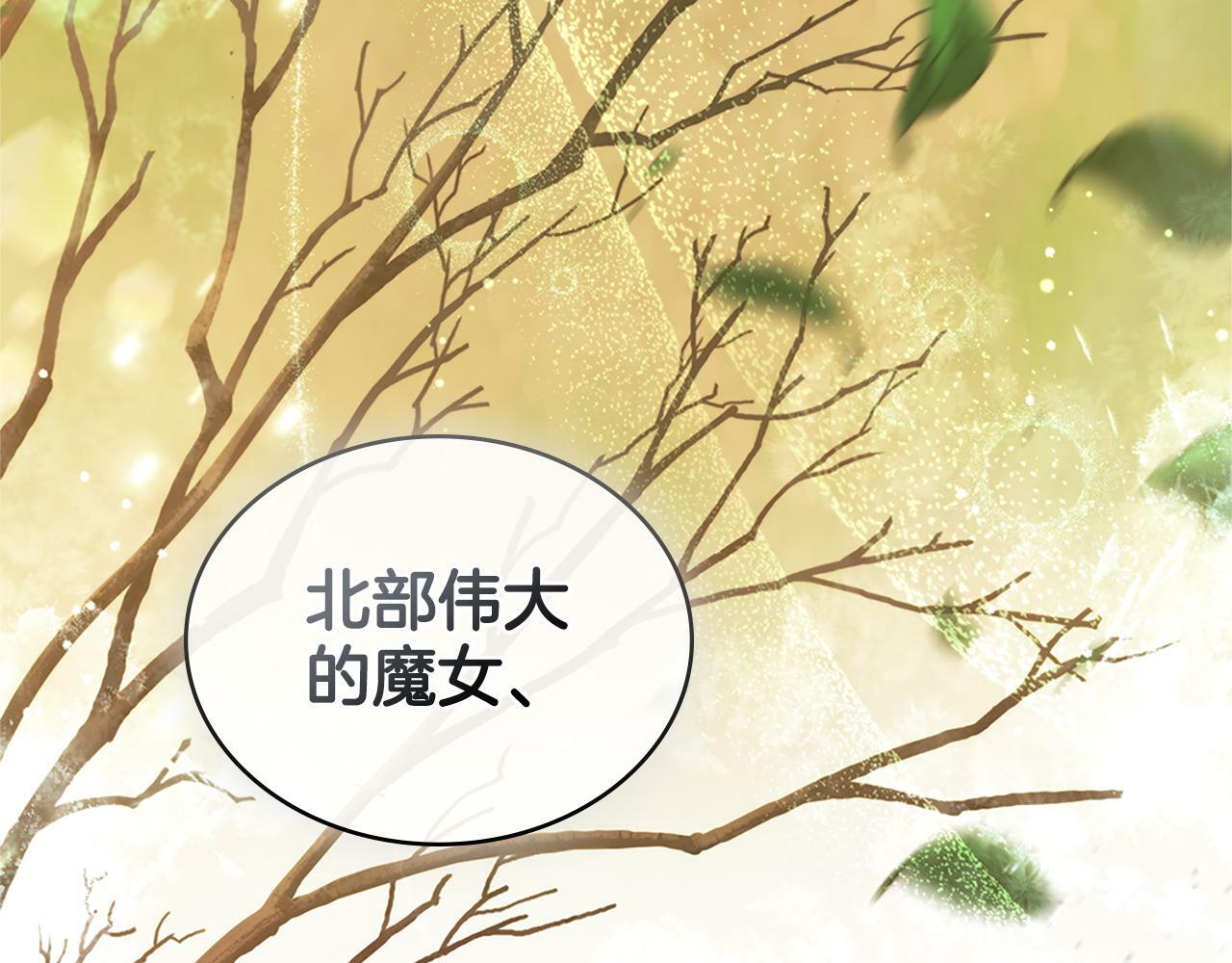 第20话 感知魔力41