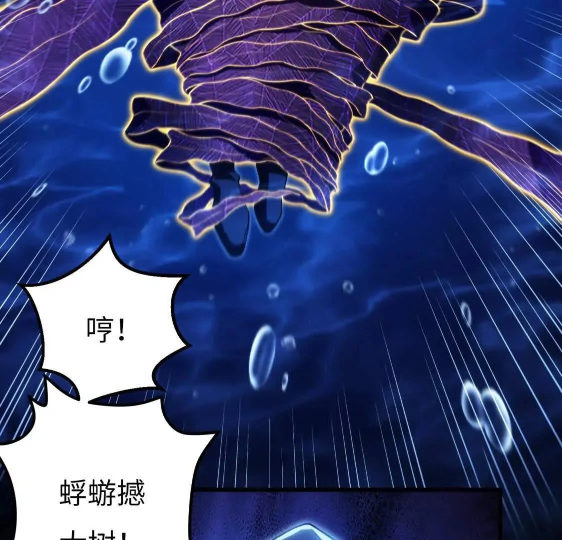 003  紫金水草76