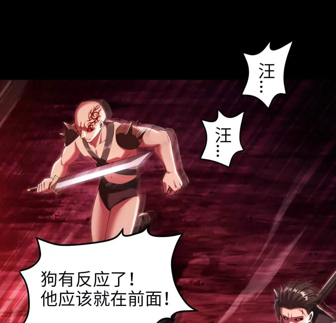003  紫金水草3