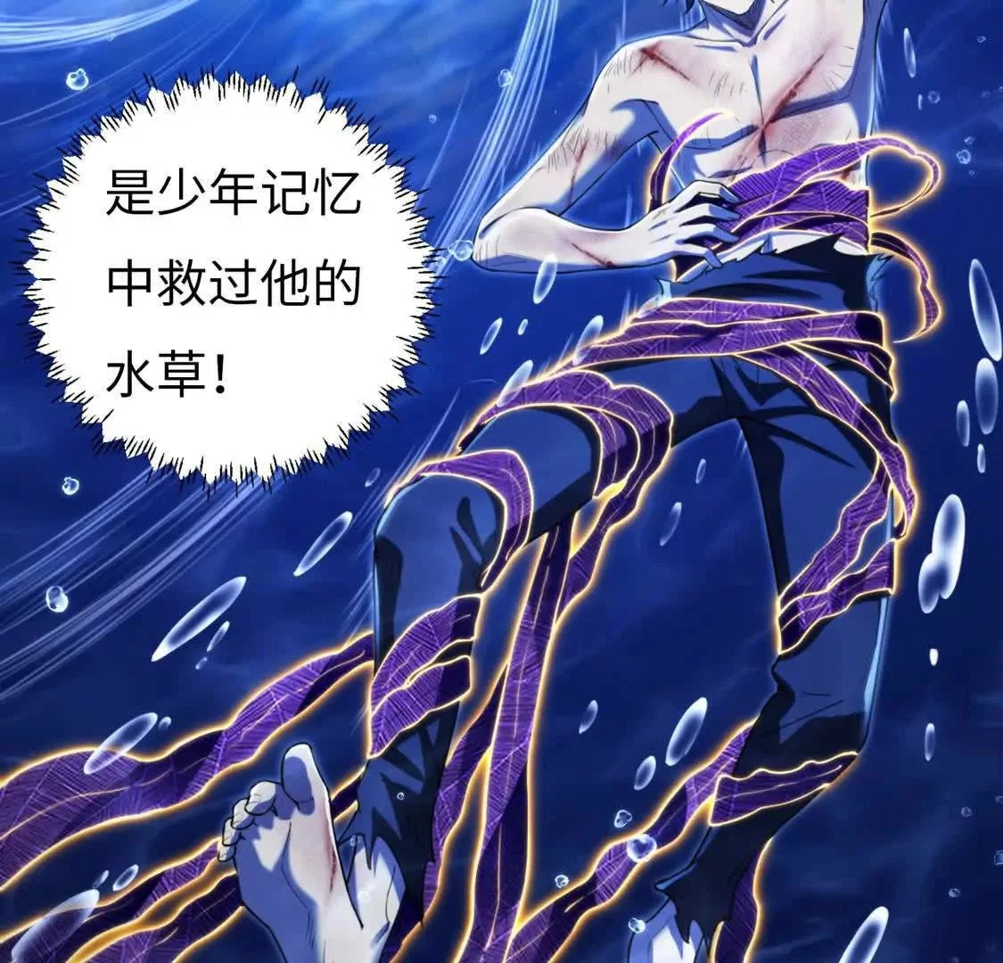 003  紫金水草59