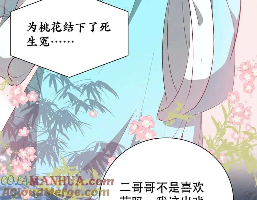 42 送给二哥哥的贺礼32