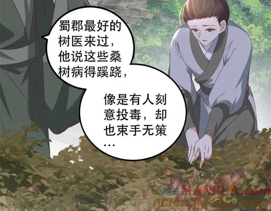 48 查探桑田80