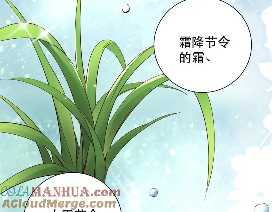 40 这婚事，作废也罢52