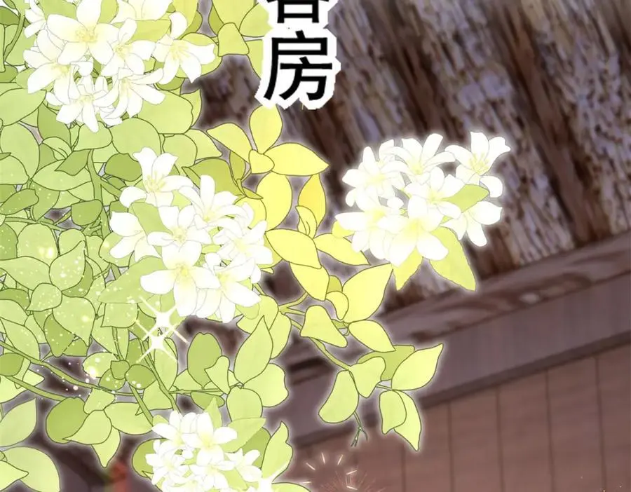 48 查探桑田41