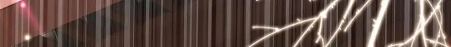 45 我不愿意你娶她26