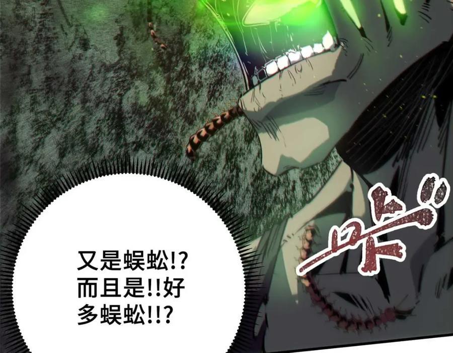 17 天坑苔藓94