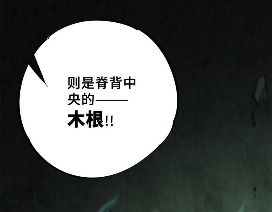 19 活体虫草55