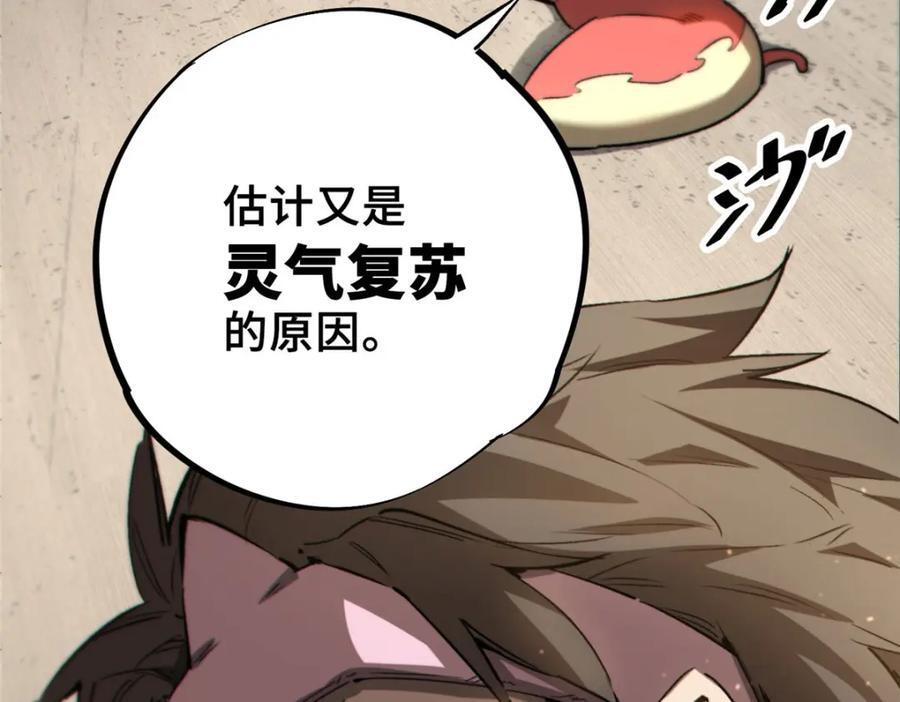 14 灵气碎片38
