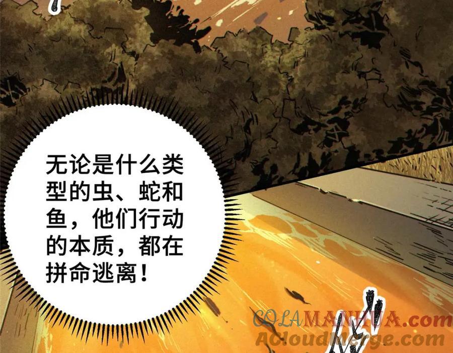 24 天赋188