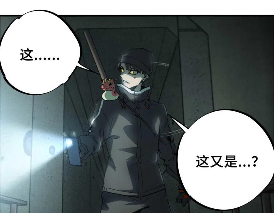 17 天坑苔藓67