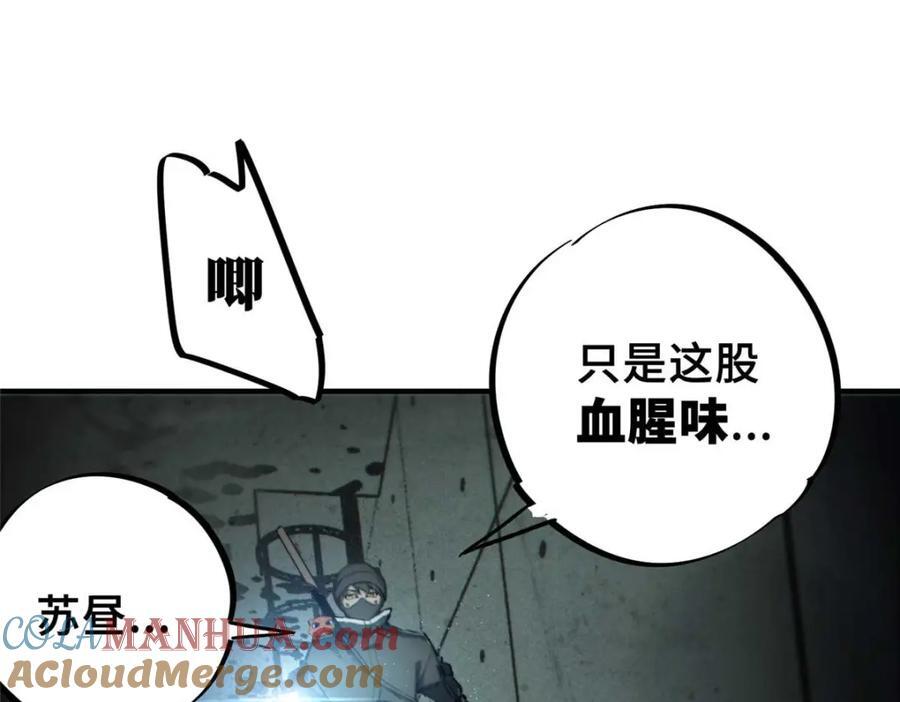 17 天坑苔藓8