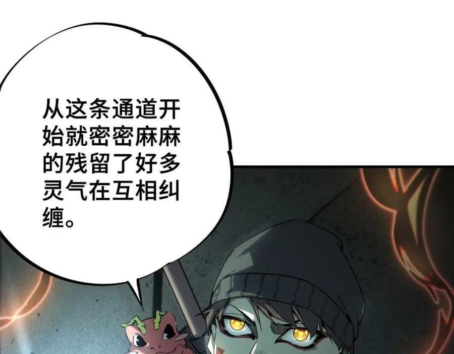 17 天坑苔藓61