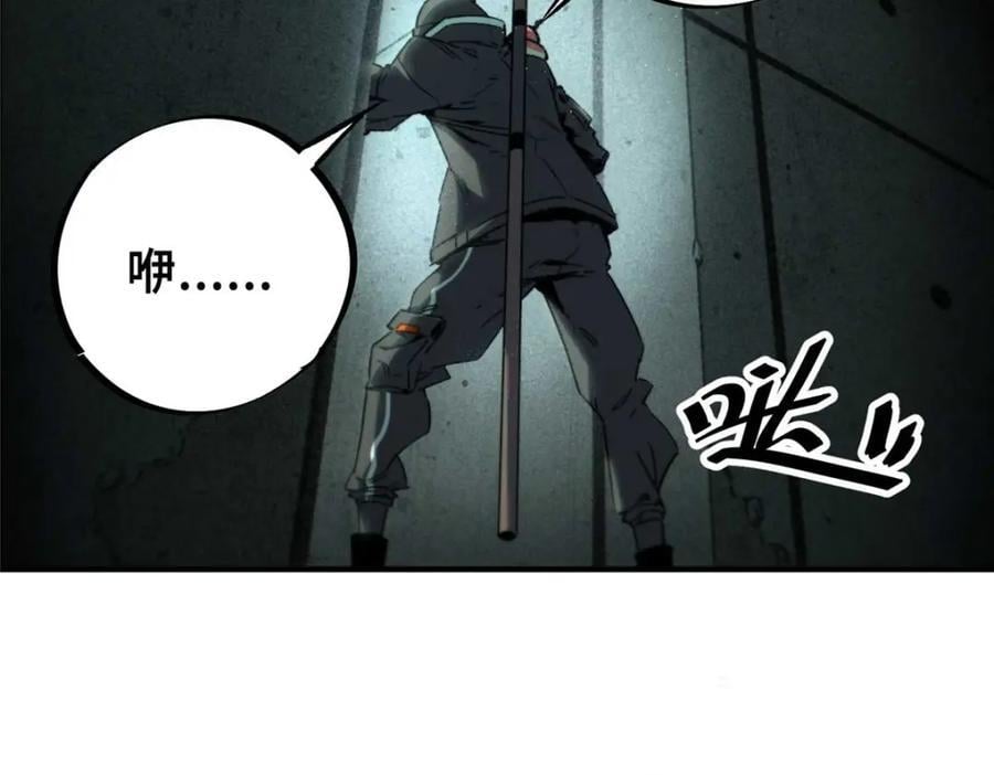 17 天坑苔藓55