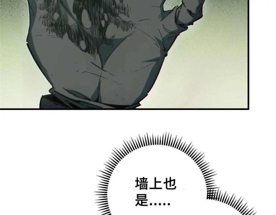 17 天坑苔藓79