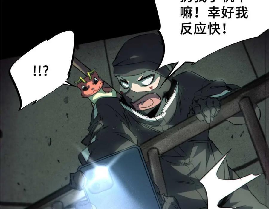 17 天坑苔藓119