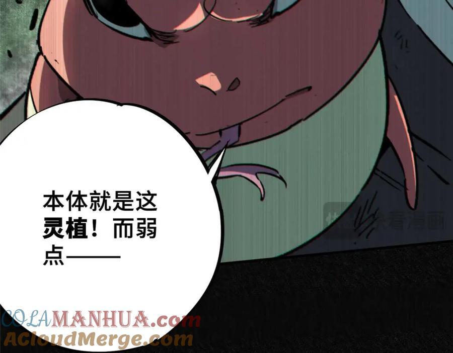 19 活体虫草52