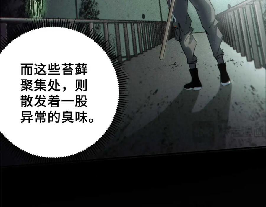 17 天坑苔藓82