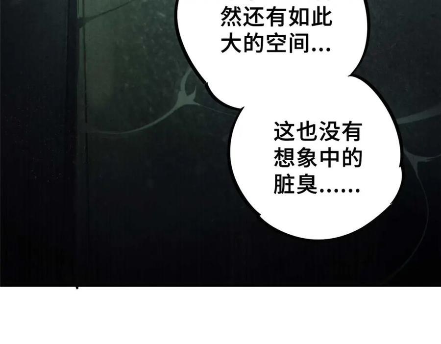 17 天坑苔藓7